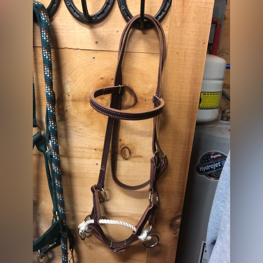 Horse Sidepull Hackamore